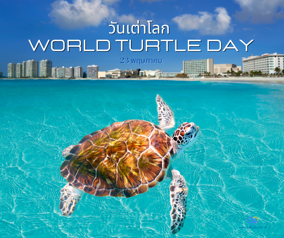 23 พฤษภาคม วันเต่าโลก