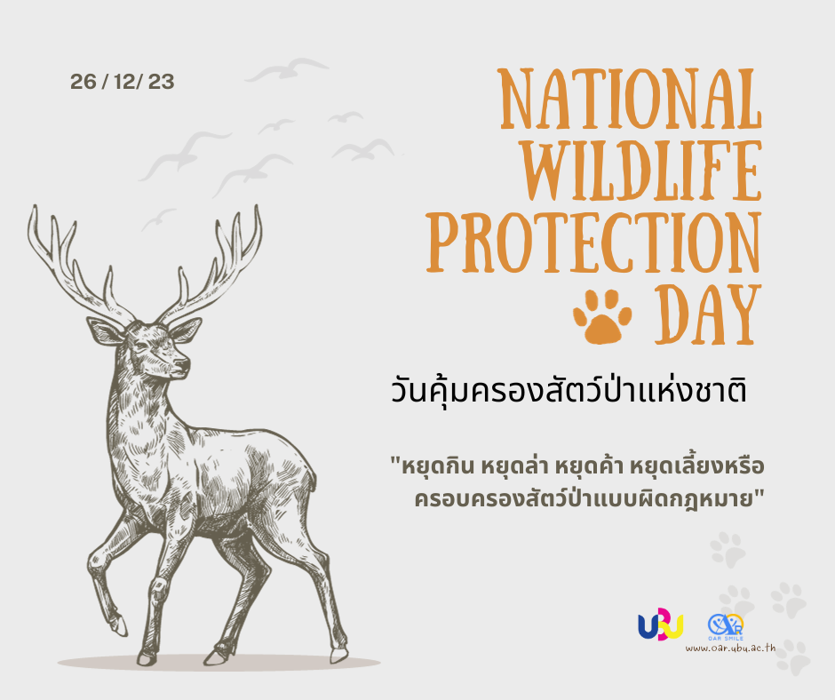 26 ธันวาคม วันคุ้มครองสัตว์ป่าแห่งชาติ