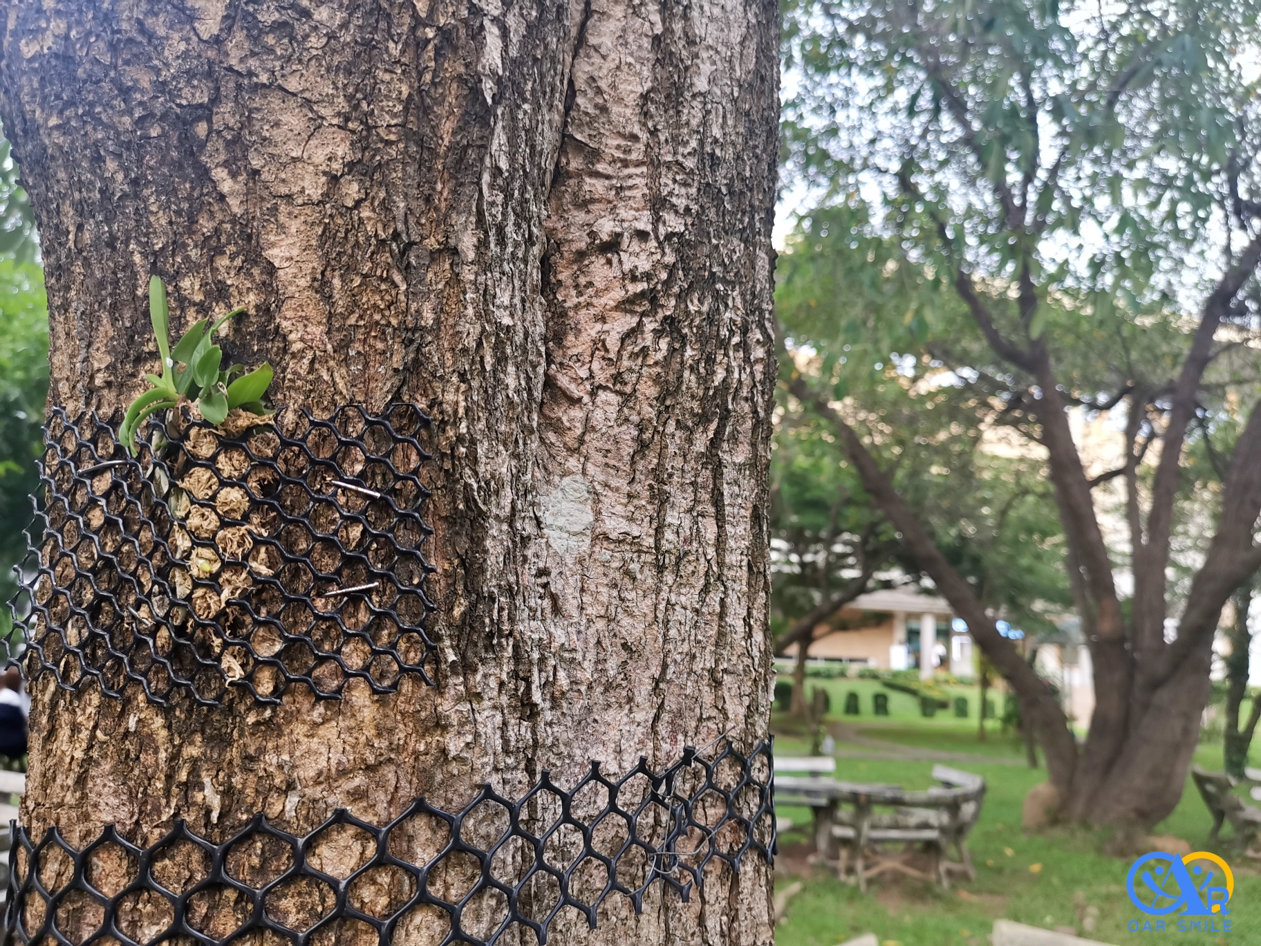 นักเรียน วมว. ปลูกกล้วยไม้ในสวน