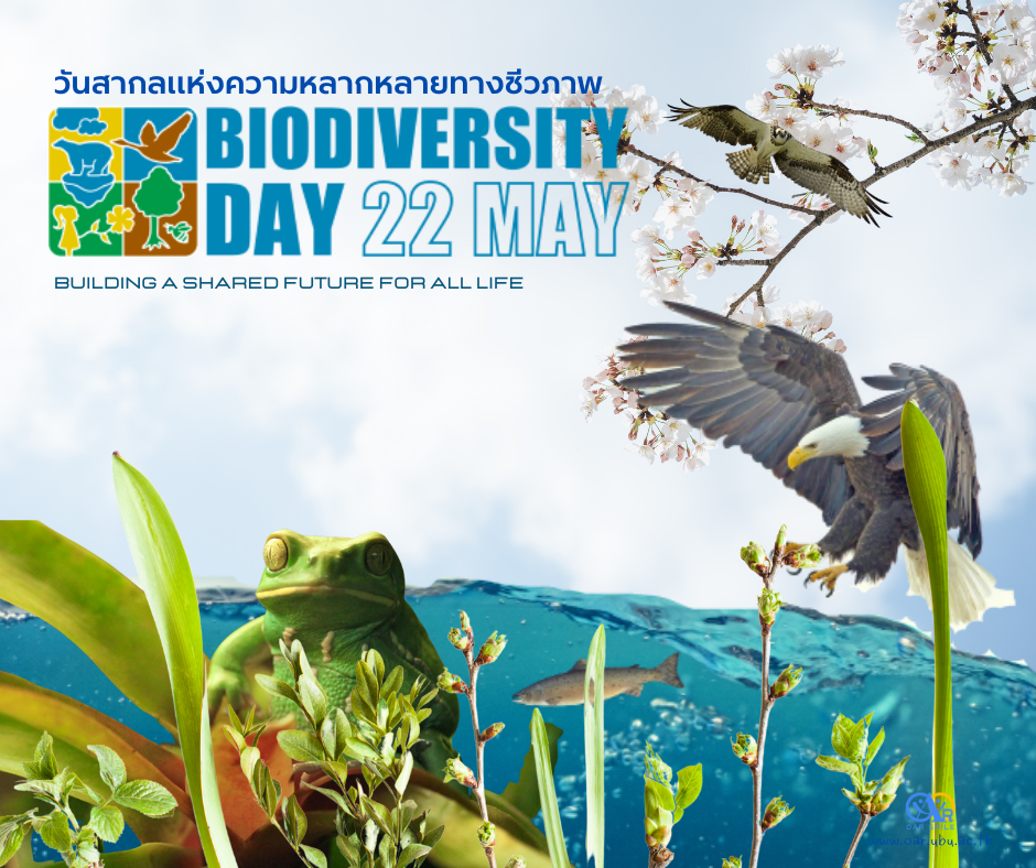 22 พฤษภาคม วันสากลแห่งความหลากหลายทางชีวภาพ 