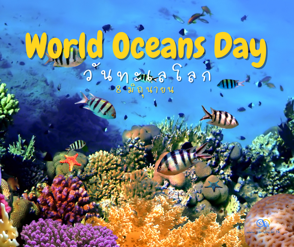 8 มิถุนายน วันทะเลโลก (World Ocean Day) 