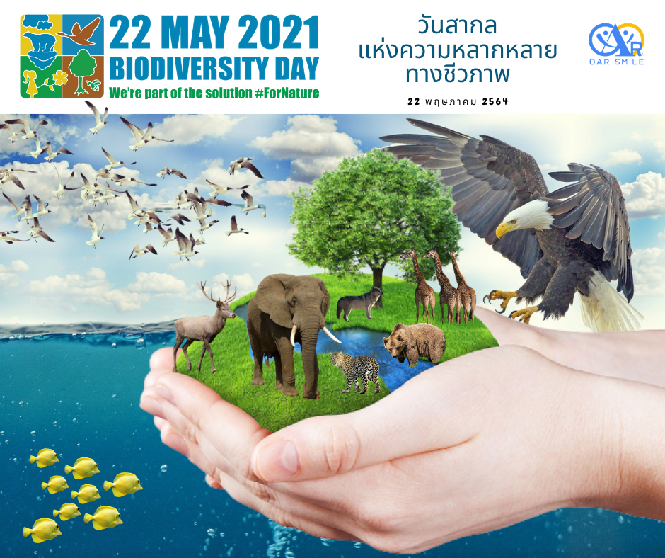 กิจกรรมวันสากลแห่งความหลากหลายทางชีวภาพ