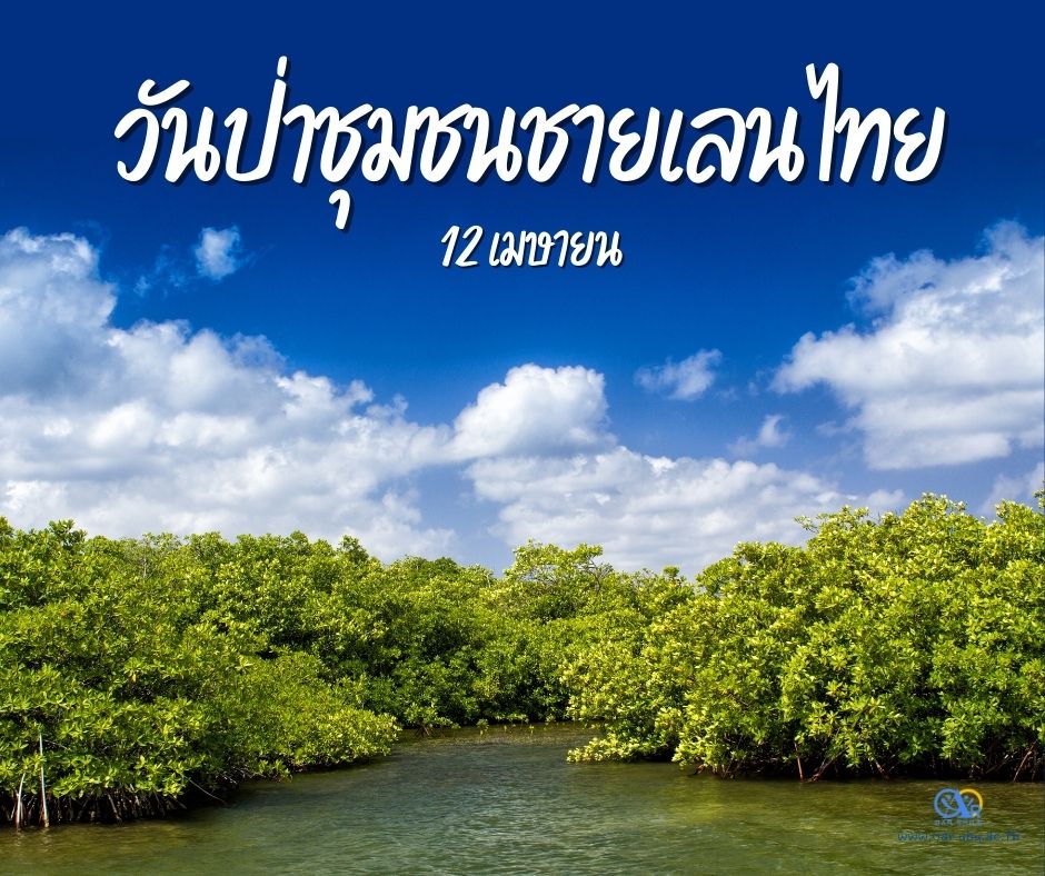 12 เมษายน วันป่าชุมชนชายเลนไทย