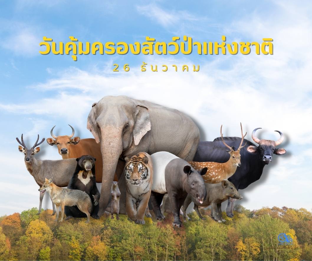 26 ธันวาคม วันคุ้มครองสัตว์ป่า
