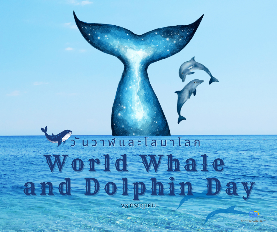 กิจกรรมวันวาฬและโลมาโลก 23 กรกฎาคม