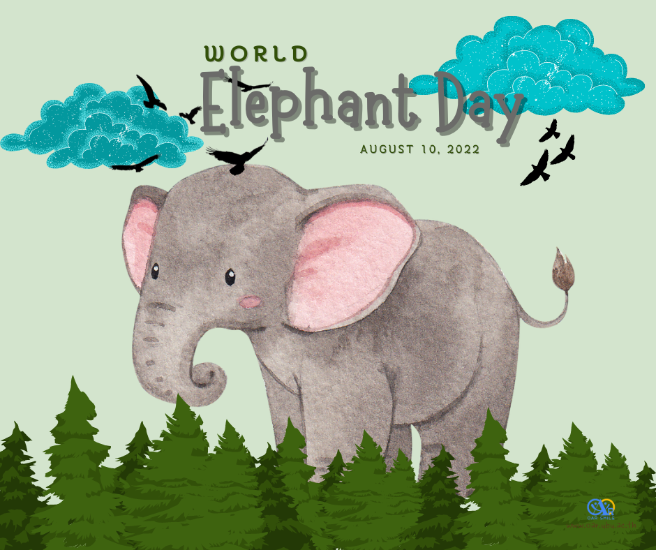 กิจกรรมวันช้างโลก 12 สิงหาคม 