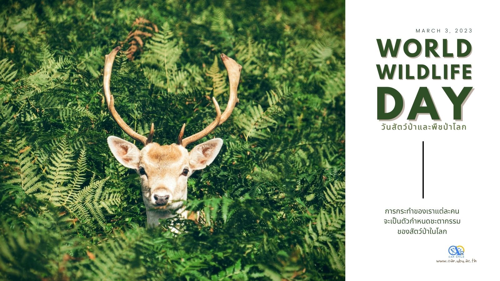 3 มีนาคม วันสัตว์ป่าและพืชป่าโลก