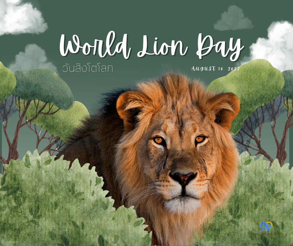 กิจกรรมวันสิงโตโลก 10 สิงหาคม