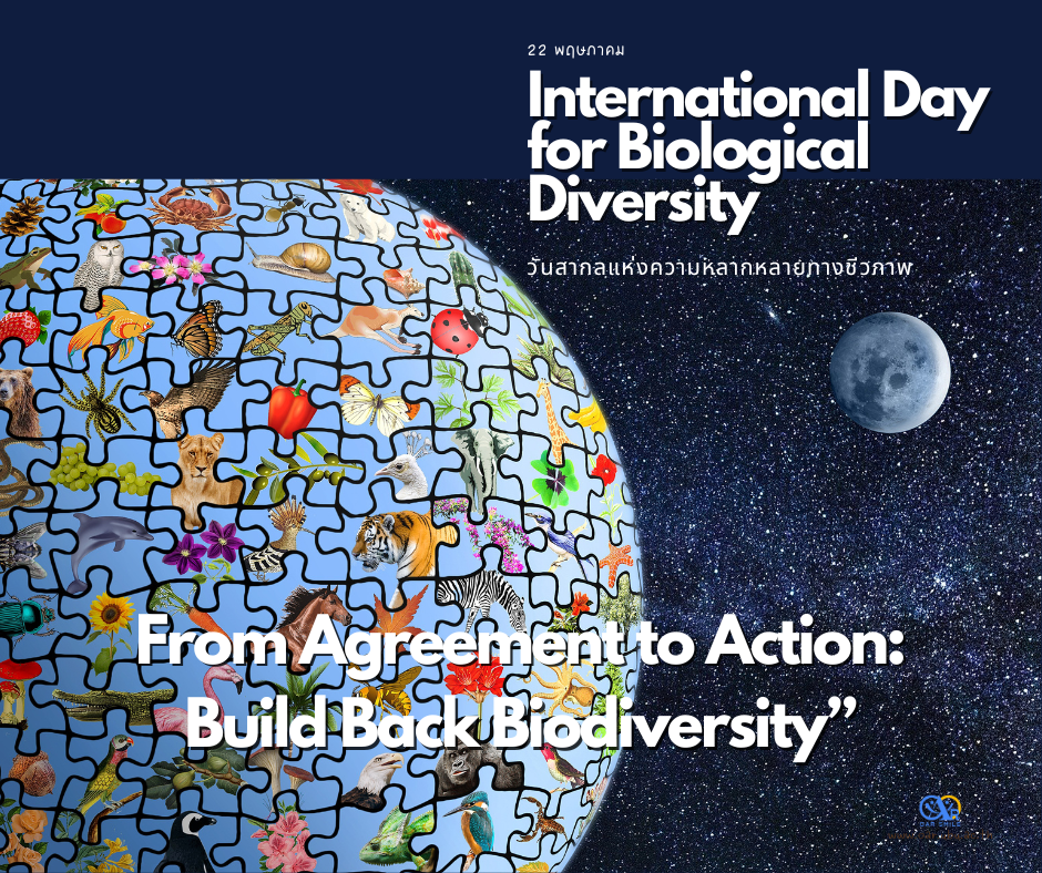 22 พฤษภาคม วันสากลแห่งความหลากหลายทางชีวภาพ