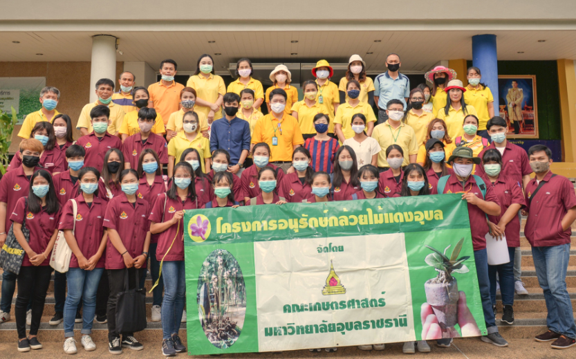 โครงการอนุรักษ์กล้วยไม้แดงอุบล