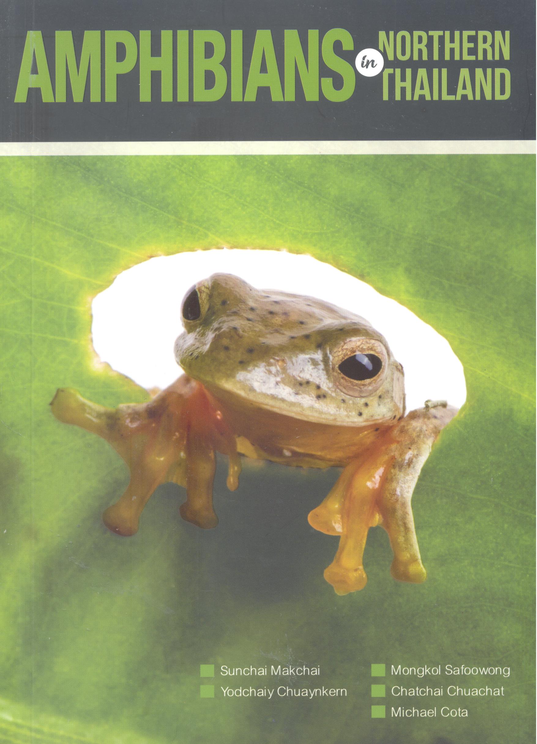 Amphibians in Northern Thailand 
