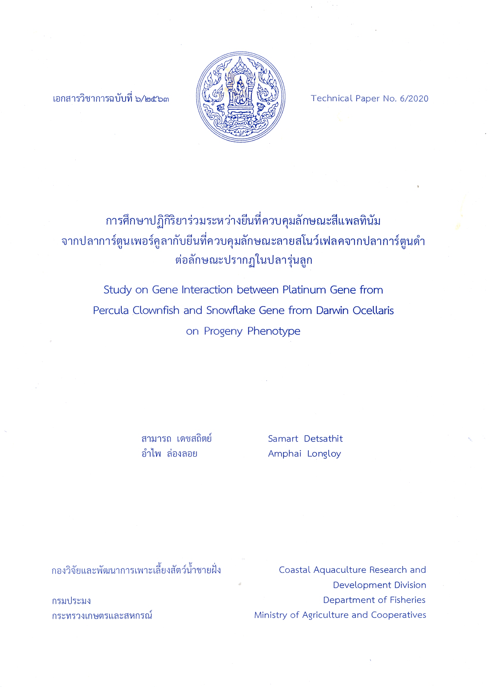การศึกษาปฏิกิริยาร่วมระหว่างยีนที่ตวบคุมลักษณะสีแพลทินัมจากปลาการ์ตูนเพอร์คูลากับยีนที่ควบคุมลักษณะลายสโนว์เฟลคจากปลาการ์ตูนดำต่อลักษณะปรากฎในปลารุ่นลูก