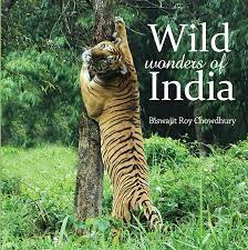 Wild wonders of India 