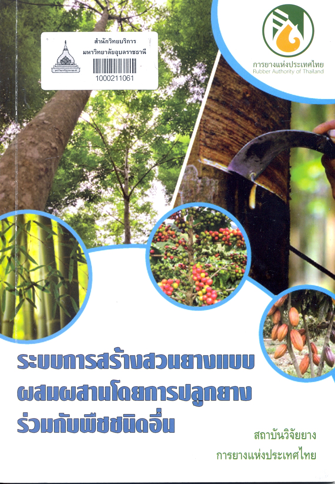 ระบบการสร้างสวนยางแบบผสมผสานโดยการปลูกยางร่วมกับพืชชนิดอื่น