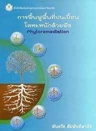 การฟื้นฟูพื้นที่ปนเปื้อนโลหะหนักด้วยพืช