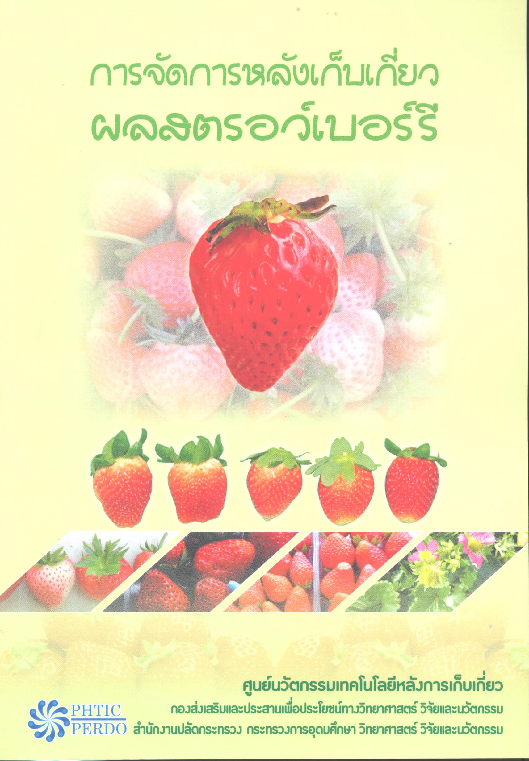 การจัดการหลังการเก็บเกี่ยวผลสตรอว์เบอร์รี