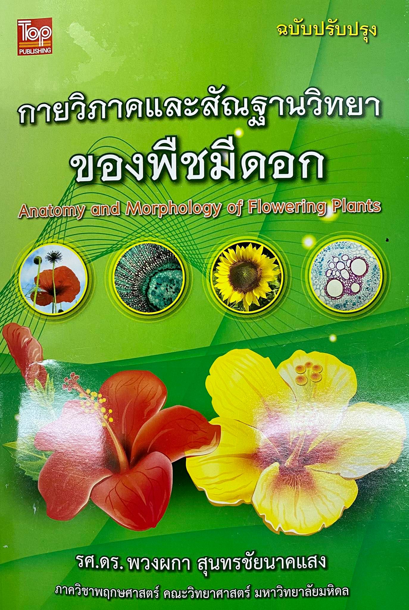 กายวิภาคและสัณฐานวิทยาของพืชมีดอก