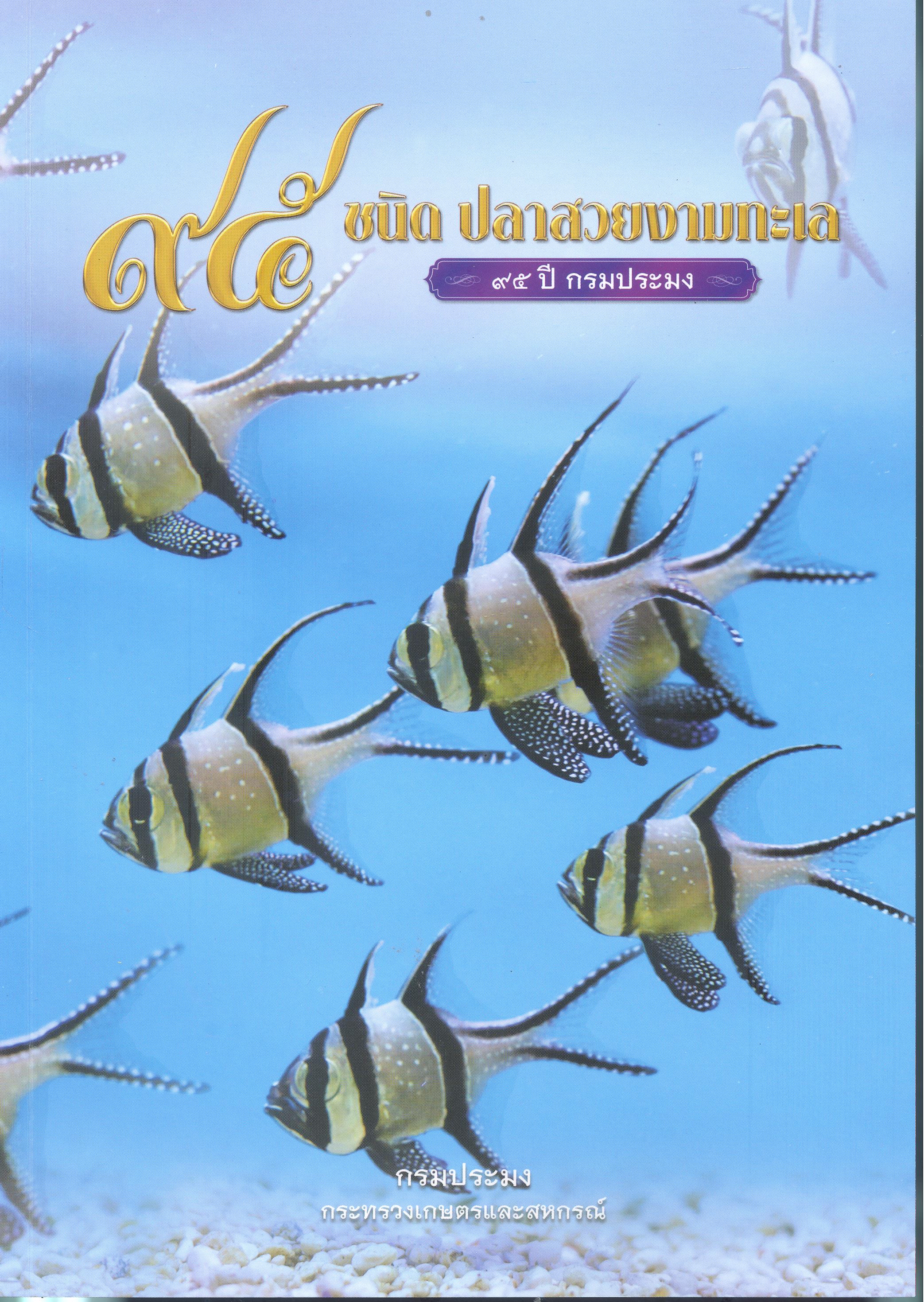 95 ชนิด ปลาสวยงามทะเล : 95 ปี กรมประมง