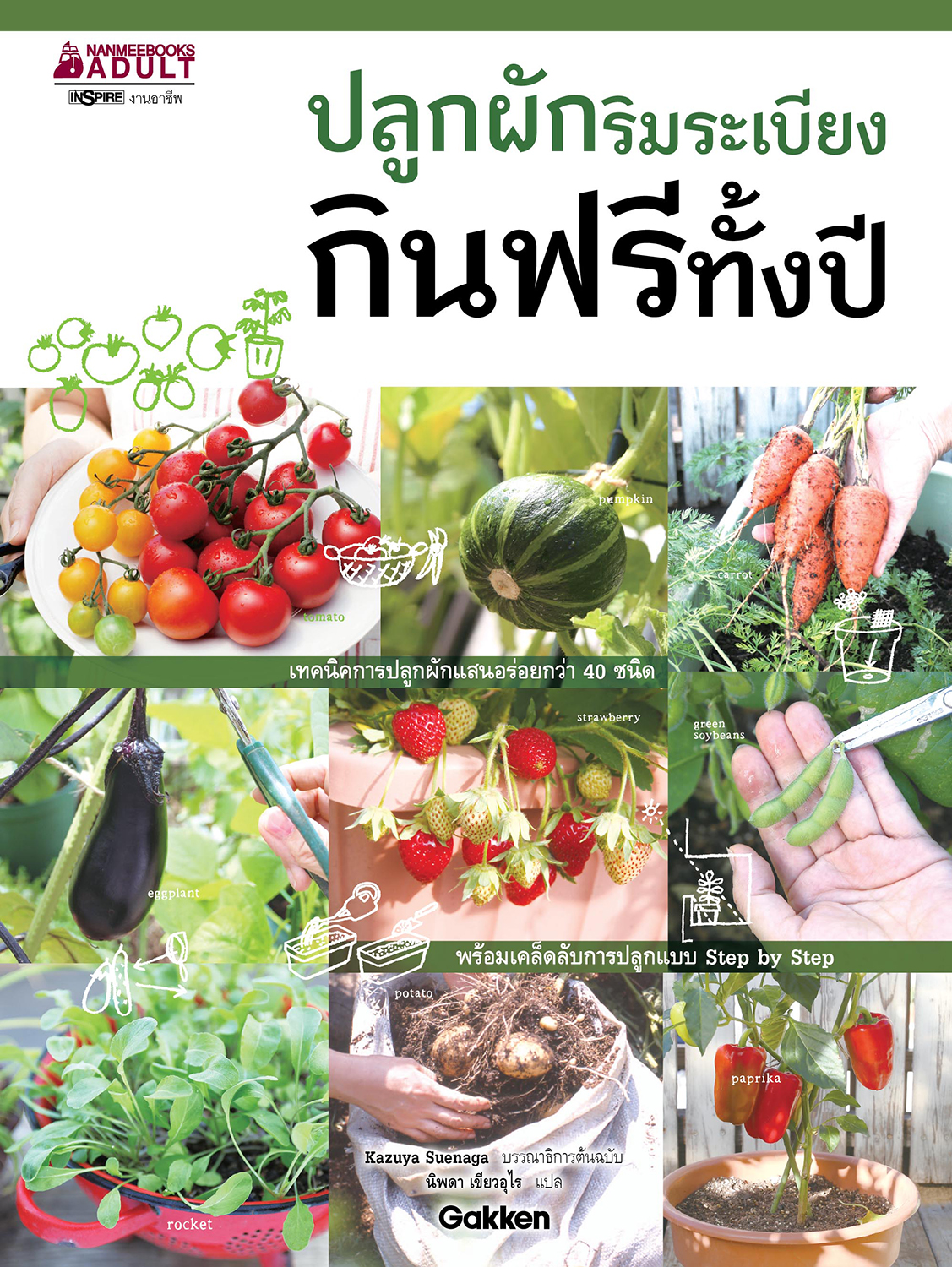 ปลูกผักริมระเบียง กินฟรีทั้งปี 