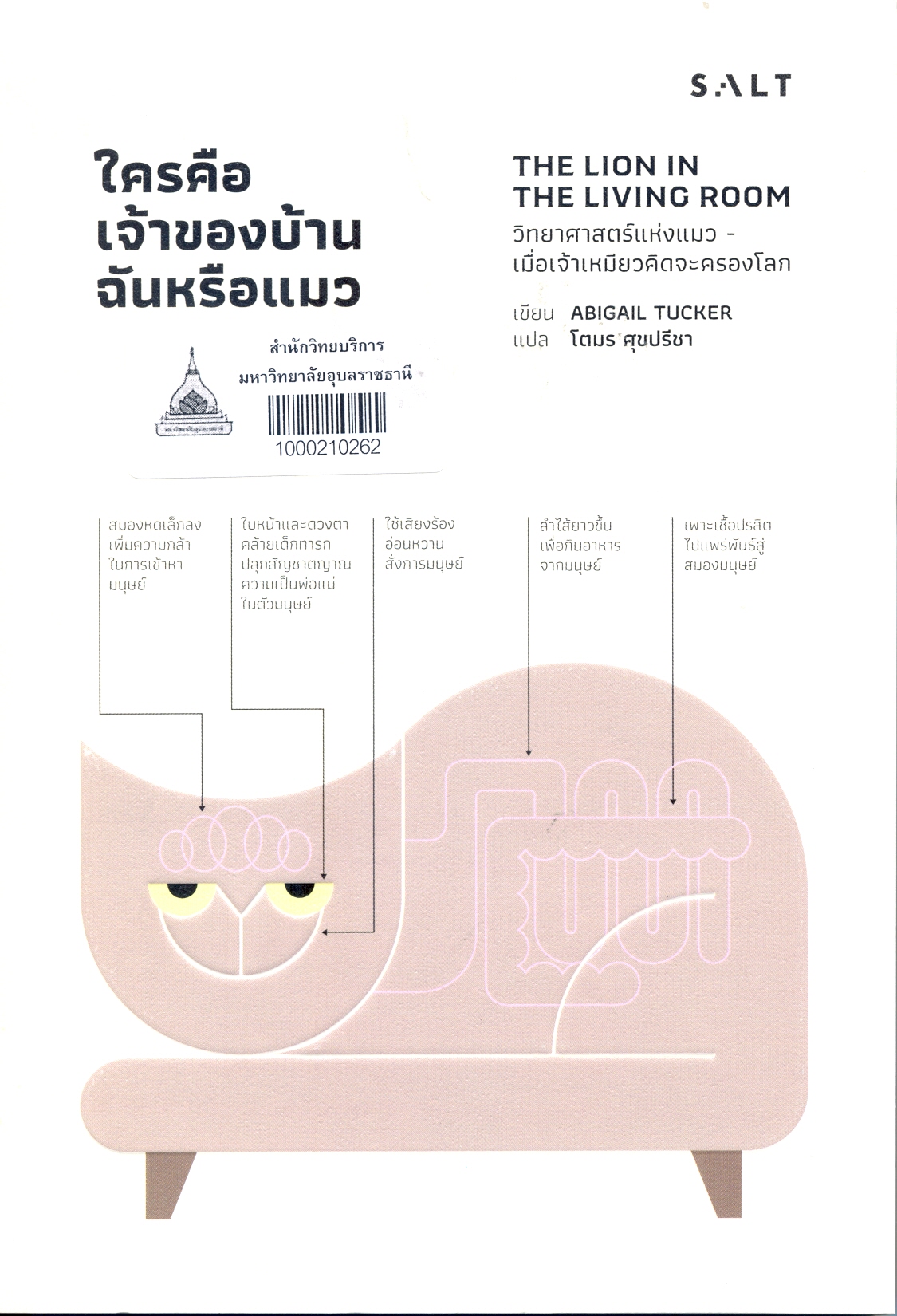 ใครคือเจ้าของบ้าน ฉันหรือแมว 