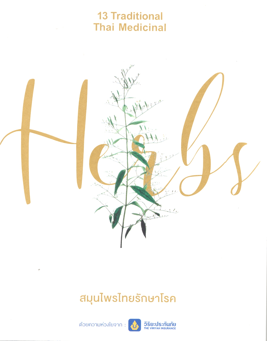 13 สมุนไพรไทยรักษาโรค.