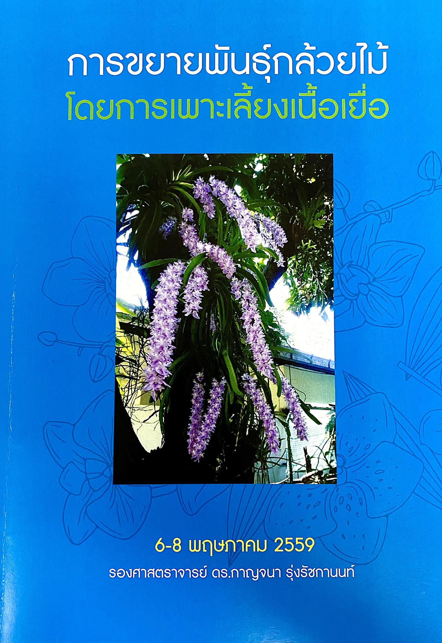 การขยายพันธุ์กล้วยไม้โดยการเพาะเลี้ยงเนื้อเยื่อ