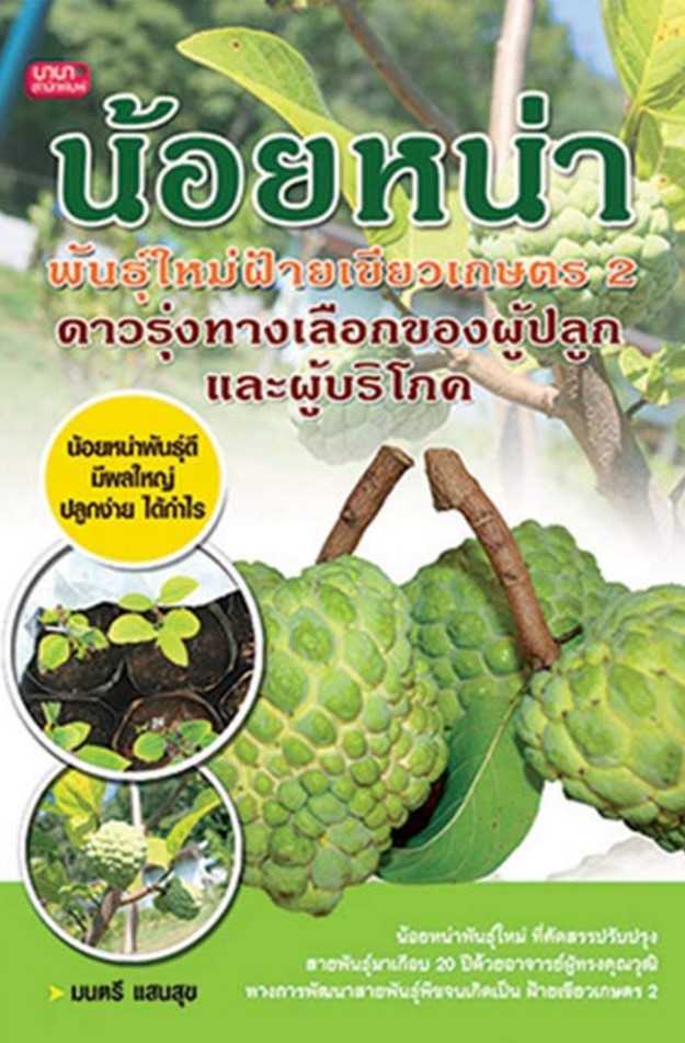 น้อยหน่าพันธุ์ใหม่ ฝ้ายเขียวเกษตร 2