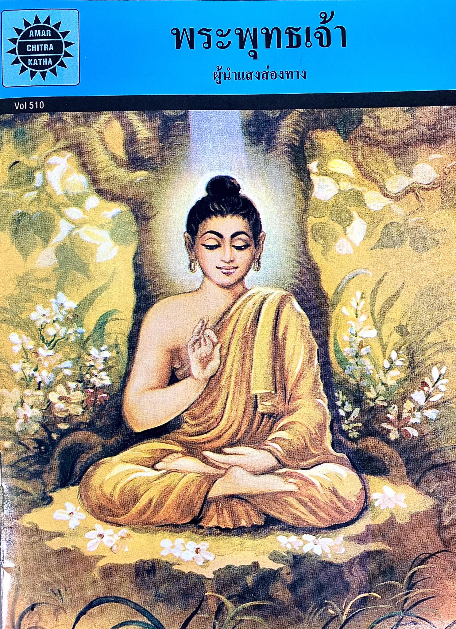 พระพุทธเจ้า : ผู้นำแสงส่องทาง