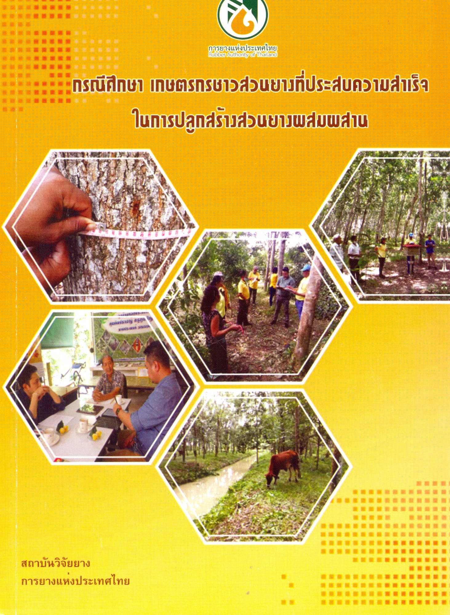 กรณีศึกษา เกษตรกรชาวสวนยางที่ประสบความสำเร็จในการปลูกสร้างสวนยางผสมผสาน