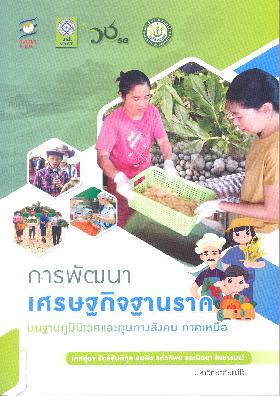 การพัฒนาเศรษฐกิจฐานรากบนฐานภูมินิเวศและทุนทางสังคม ภาคเหนือ