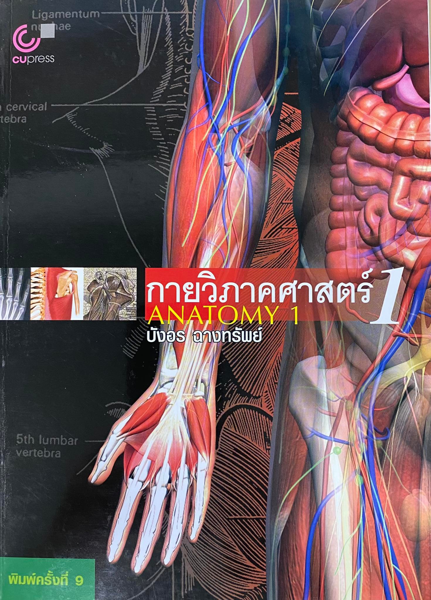 กายวิภาคศาสตร์