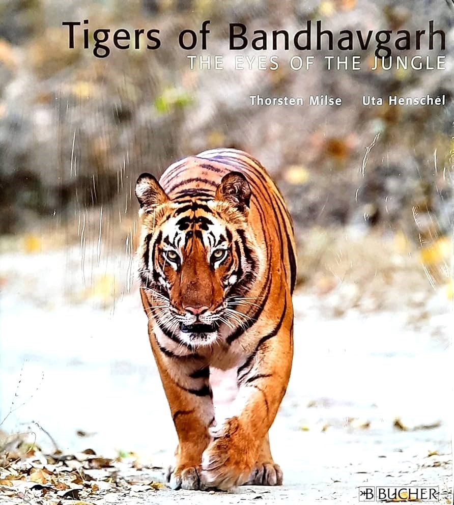 The eyes of the jungle