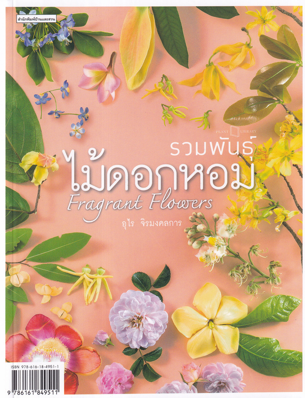 รวมพันธุ์ไม้ดอกหอม