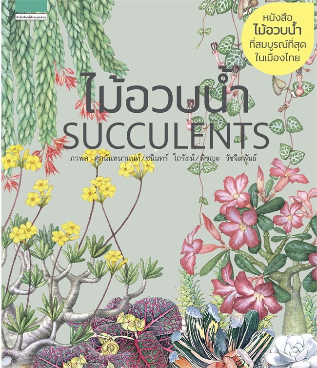 ไม้อวบน้ำ