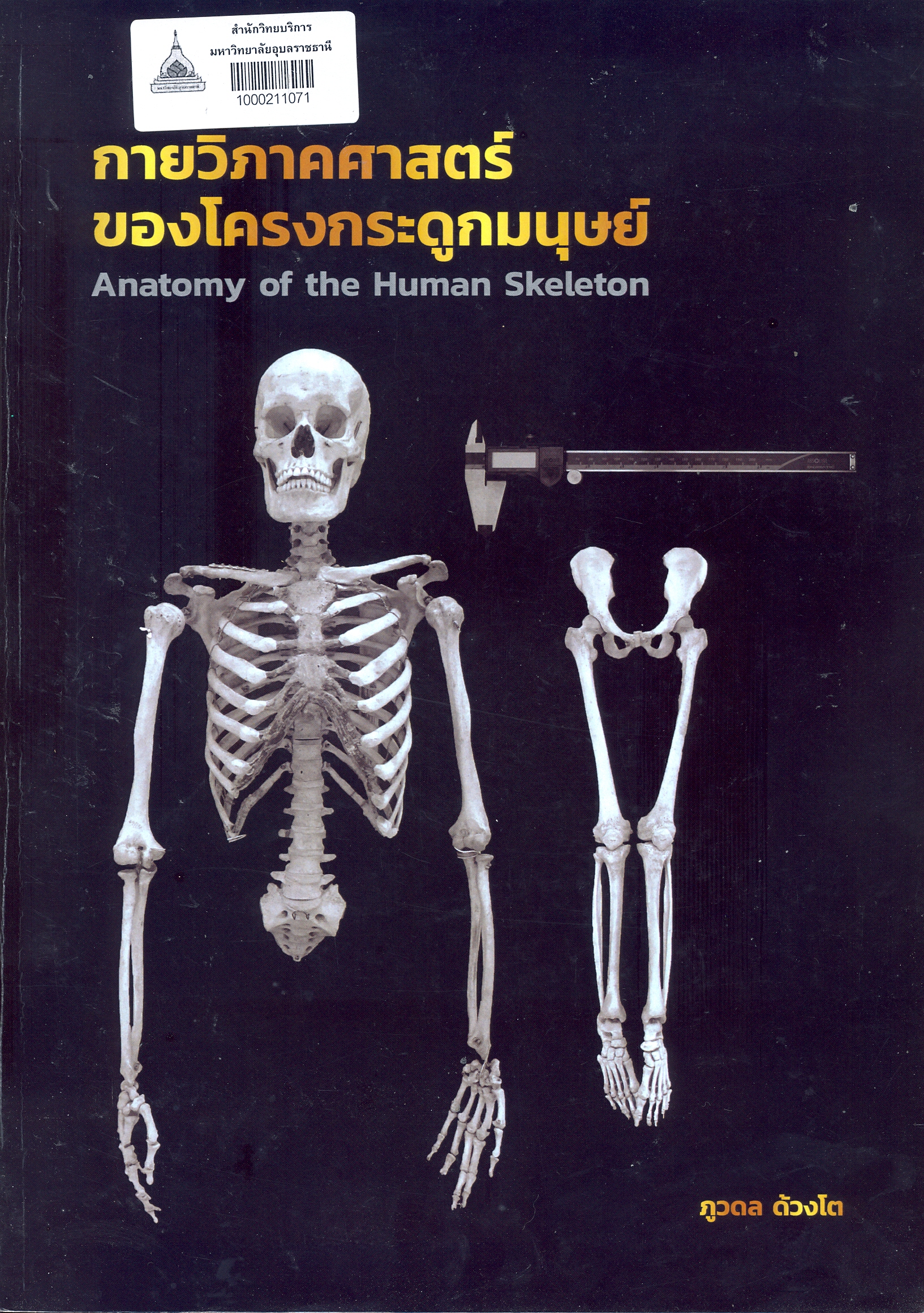 กายวิภาคศาสตร์ของโครงกระดูกมนุษย์